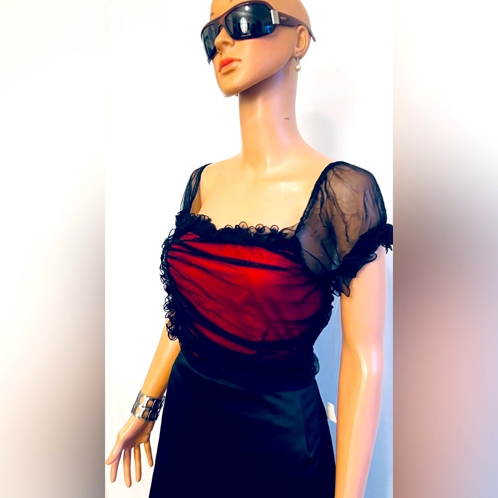 Boston Proper Sheer Black & Red Top L